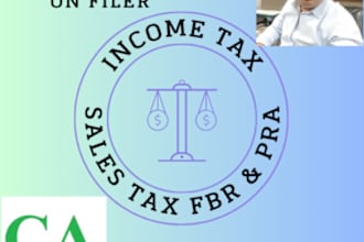 file income tax return and wealth statement, sales tax return in pakistan fbr