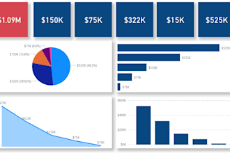 create a professional power bi dashboard and reports