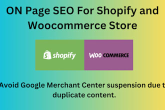 do on page SEO for ecommerce store on shopify and woocommerce