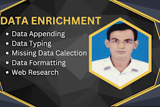 do data enrichment, data appending and data entry