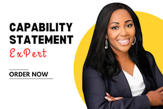 design a professional government capability statement, capability statement
