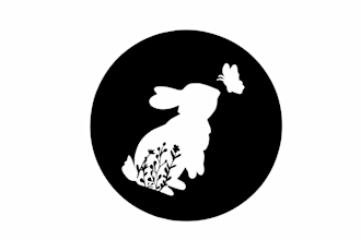 do illustrations for a pendant necklace design