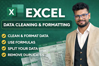 do excel data cleaning, formatting, formulas, data split