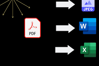do file conversion of PDF to word jpeg or excel
