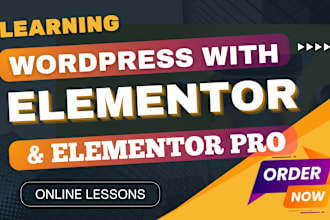 be your elementor, elementor pro coach, instructor, tutor, or helper