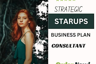 write investor ready business plan for startups, financial plan, proposal