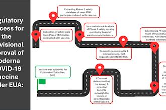 do scientific illustration and graphical abstract for journal publication