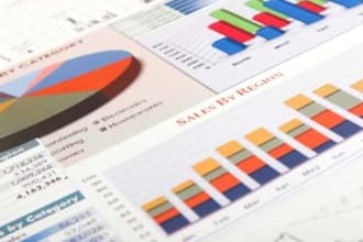 give you a 50 to 100 pages ibp SEO optimization and ranking report for your website
