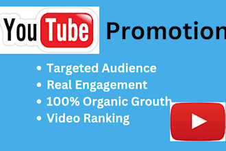 do youtube video promotion for boost your channel