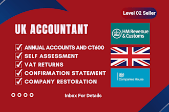 prepare and submit UK company accounts and UK vat returns