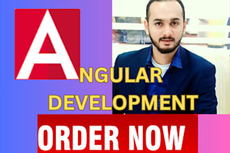 develop and customize your websites in angular