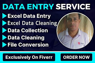 do excel data cleaning and organization, data entry, research assistance