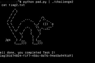 solve ctf capture the flag challenges for cs 6035
