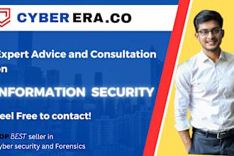 provide expert information security consultation services