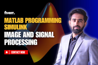 do image processing and signal processing by matlab and python