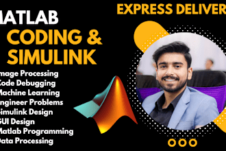 assist in matlab programming and simulink model development