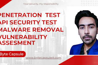 do website and app penetration testing with malware removal
