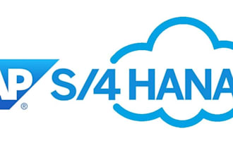do sap s4hana 2025 2023 2022 installation