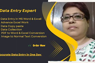 do accurate data entry in one day with value for money