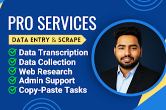 do data entry, insert data, data scraping, email leads, pdf to excel