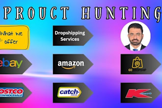hunt profitable products for ebay dropshiping