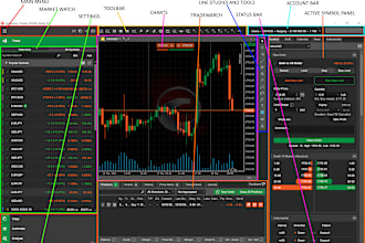code custom ea using mql, ninjascript and thinkscript