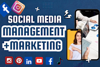be your social media manager, content creator, social media post, ad design