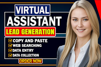 do data entry, lead generation and web searching