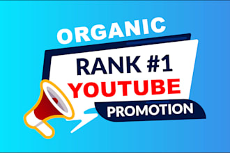 do fast organic  youtube promotion and video seo