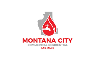 design top quality classic plumbing logo