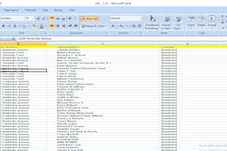 do excel data entry, copy paste, convert PDF, web research, typing online