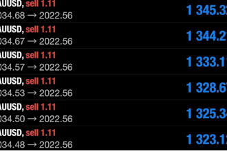 help you manage your mt4 or mt5 account to maximize profit