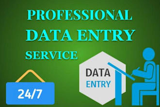 do accurate data entry, copy paste, web research, excel data entry in 24 hours