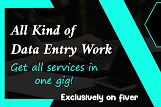 do any data entry work, typing work accurately