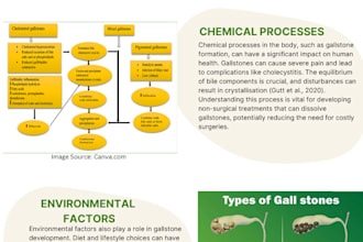 design stunning and professional infographic for you
