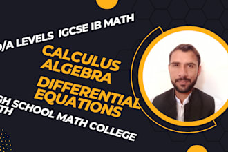 math calculus algebra tutor