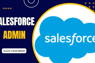 be you professional salesforce admin