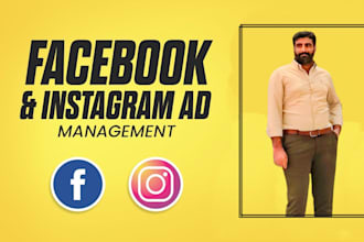 set up facebook and instagram ads for leads and sales