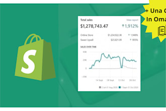 professional shopify store setup and customization