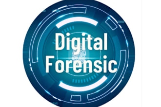 do digital forensics and cyber investigation