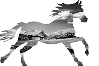 design clipping mask images for you