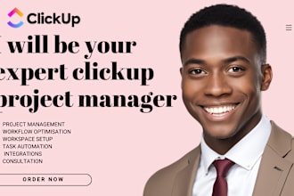 be your clickup project manager, clickup virtual assistant, clickup consultancy