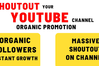 shoutout your youtube video to organic audience to gain subs
