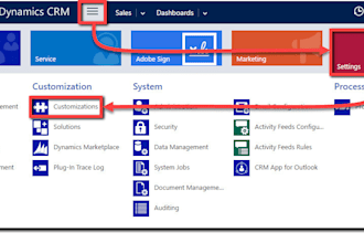 customize your microsoft dynamics CRM as per your requirements