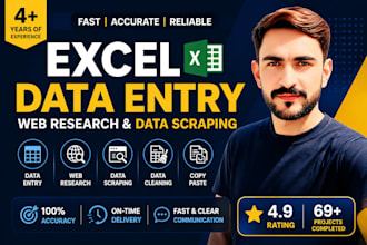 excel data entry, web research and data scraping