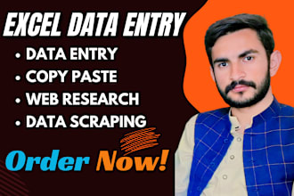 do excel data entry web research copy paste data scraping