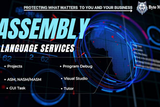 do assembly programming tasks and projects for you