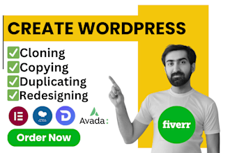 copy, clone, duplicate, redesign, update wordpress website