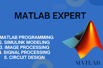 provide expert matlab and simulink coding and processing