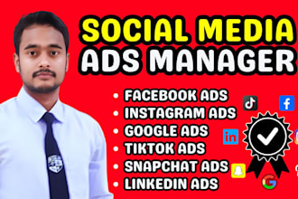 facebook ads manager, instagram, tik tok, linkedin, snapchat, google ad campaign